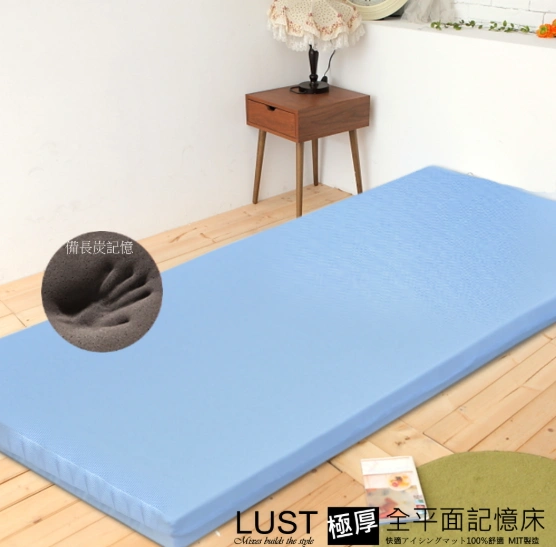 2026 記憶床墊推薦|14 大品牌與 6 個選購重點告訴你! 8 Lust|惰性矽膠床